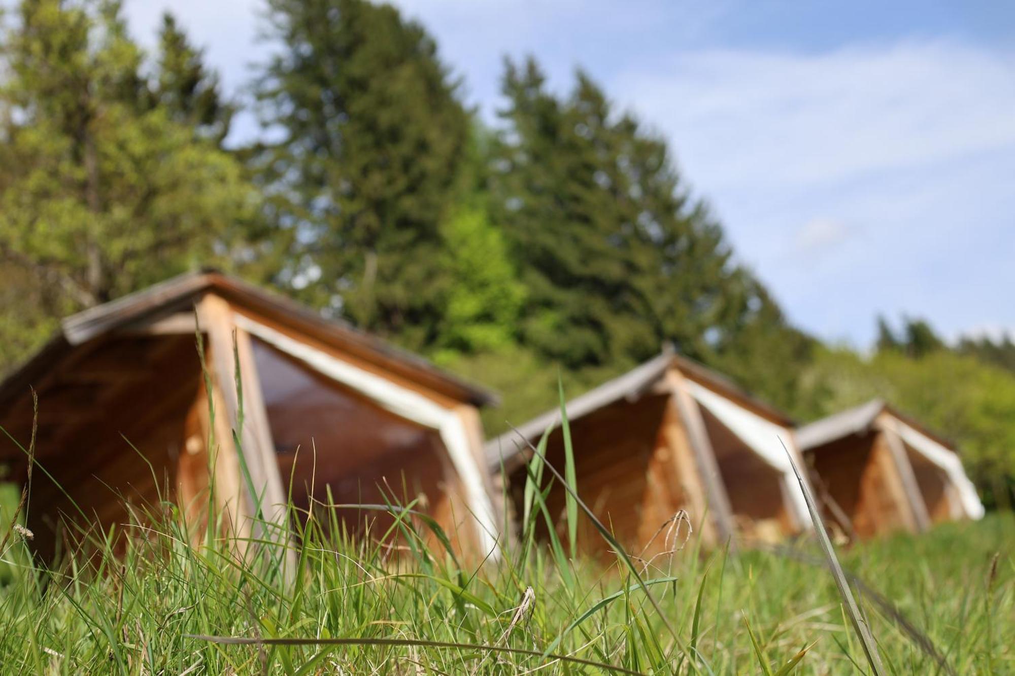 Вилла Mountain View Glamping Довье Экстерьер фото