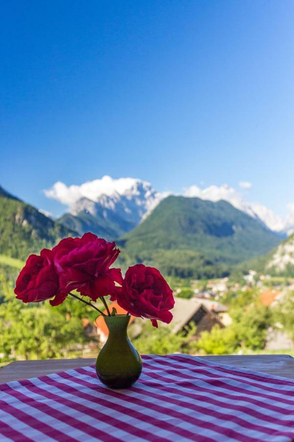 Вилла Mountain View Glamping Довье Экстерьер фото