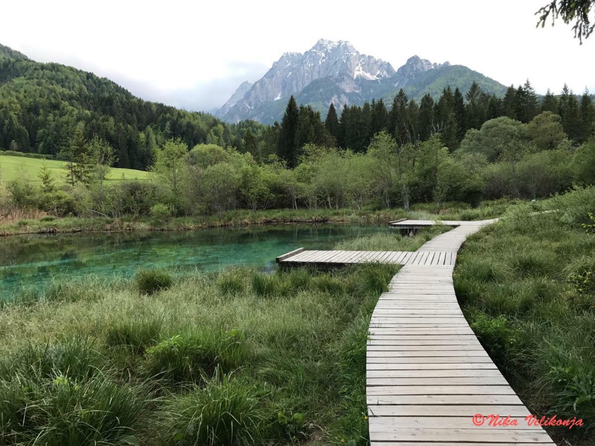 Вилла Mountain View Glamping Довье Экстерьер фото