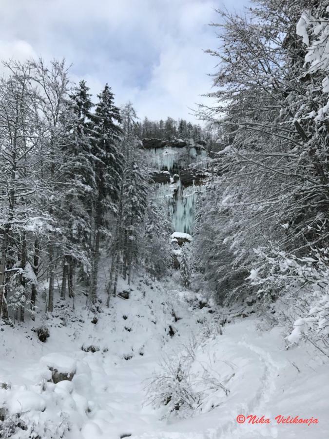 Вилла Mountain View Glamping Довье Экстерьер фото
